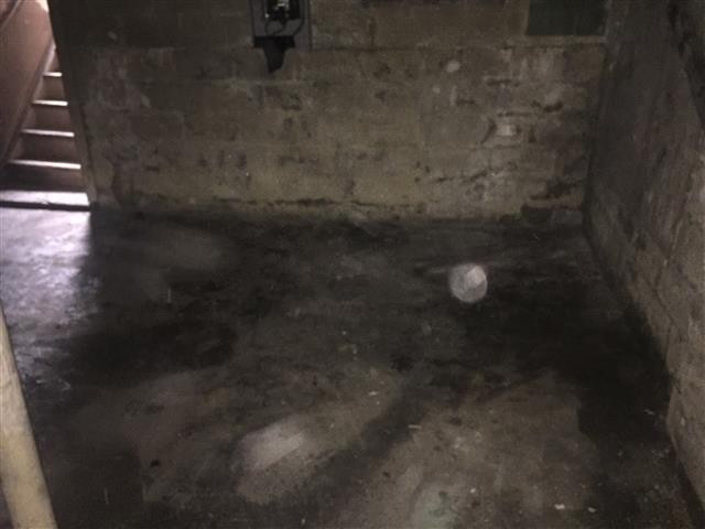 6346 Pelouze basement 3.jpeg